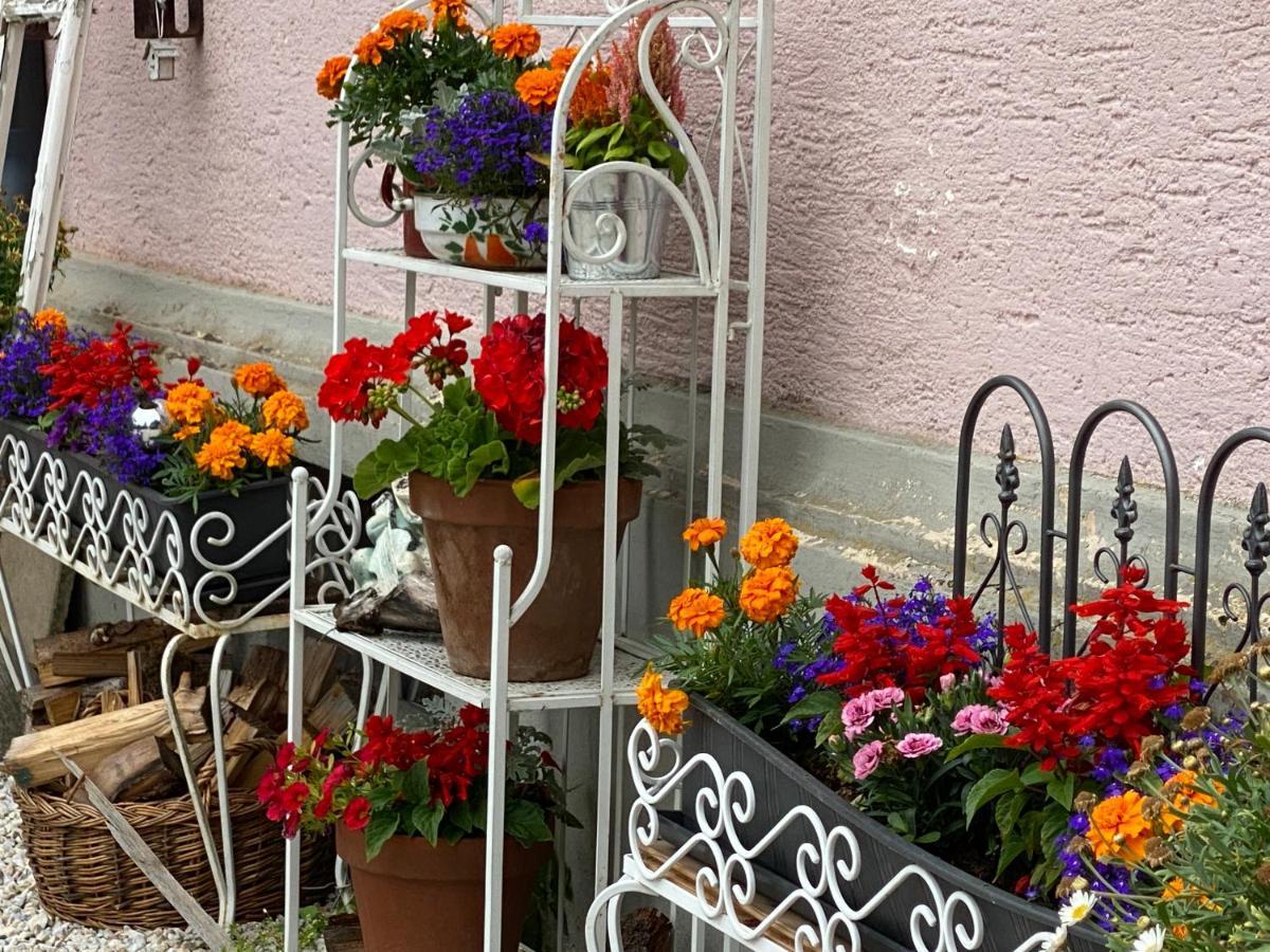 Villa Petrabunt Villach Zewnętrze zdjęcie